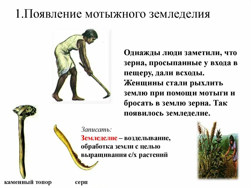 Как называется территория где впервые появляется земледелие. Возникновение земледелия и скотоводства 5 класс. история 5 класс возникновение земледелия и скотоводства. сообщение на тему возникновение земледелия и скотоводства 5 класс. земледелие доклад.