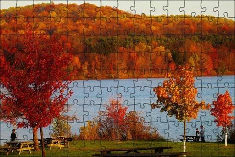 I see fall