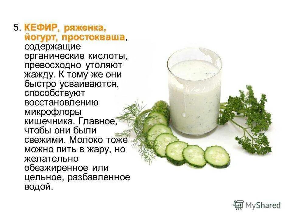 Можно ли давать ряженку. Кефир для кишечника. можно ли пить кефир. самый полезный кефир для кишечника. сообщение о кефире.