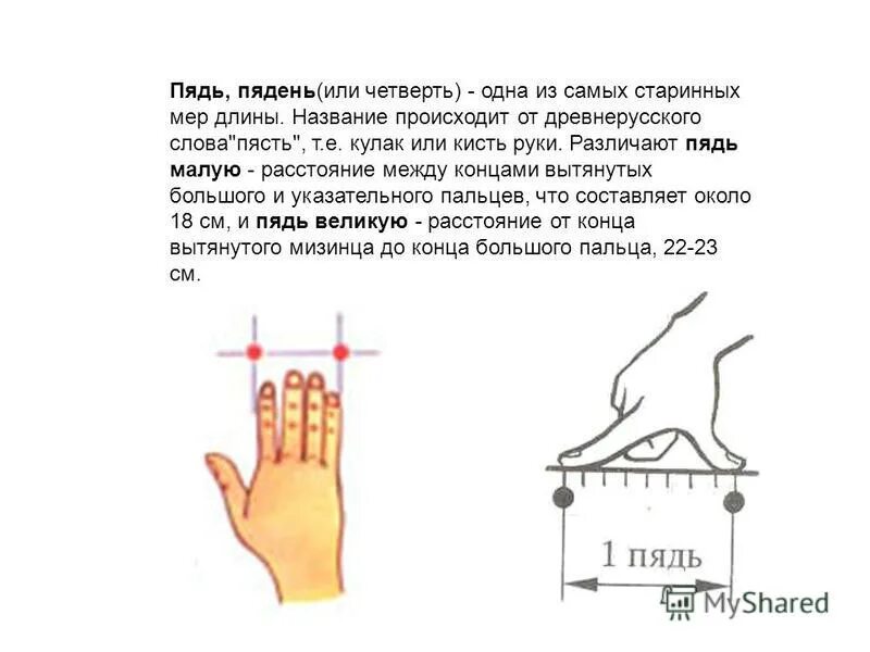 Какие плоды длиною в пядь. Пядь, пядень (или четверть. Размер пяди. Старинные меры длины четверть. Пядь мера.