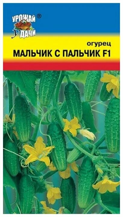 Мальчик с пальчик - огурец. Описание с фото сад-огород Сад, Огород и Мальчики