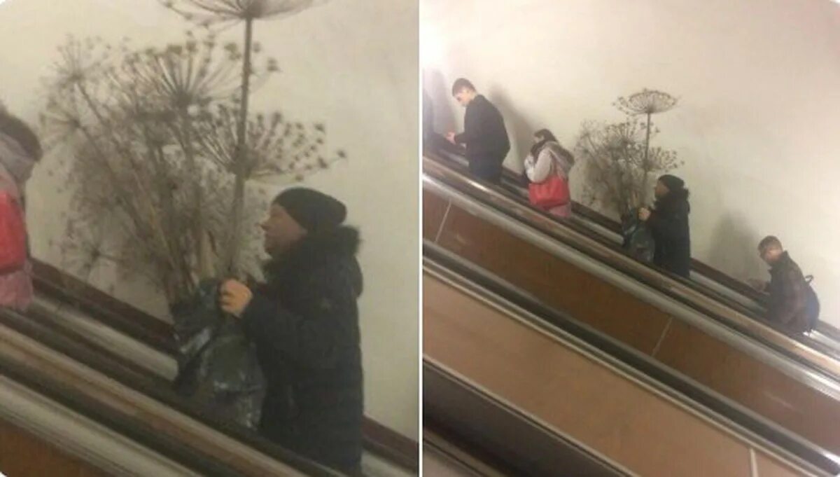 Человек с букетом цветов в метро. Букет цветов «летний». А люди любят они стоят с букетами в м. Они стоят с букетами в метро. Фото людей на улице.