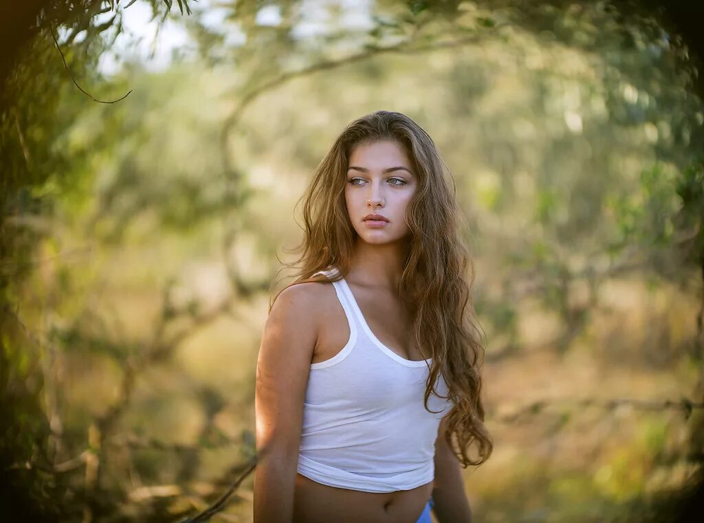 E d net. Логотип d. 3d archive. E d net. 97 mm2, 50 m, 0060223.