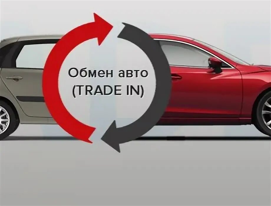 Медведь трейд ин красноярск. Trade in автомобили. Медведь трейд ин. Выкуп авто trade in. Медведи трейд.