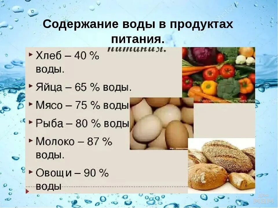 Пищевые продукты содержат. Что входит в состав белков жиров и углеводов. Схема питания белков жиров углеводов. Белок жиры и углеводы. Схема питания белки жиры углеводы.