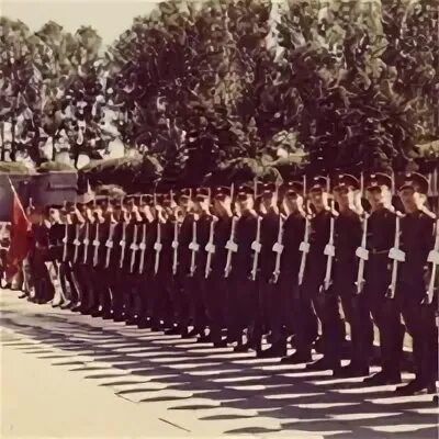 Начальник гарнизонного караула. Караулов стрелковых. Гарнизонный караул. Караулов стрелковых. Рота почётного караула в санкт-петербурге 71390.