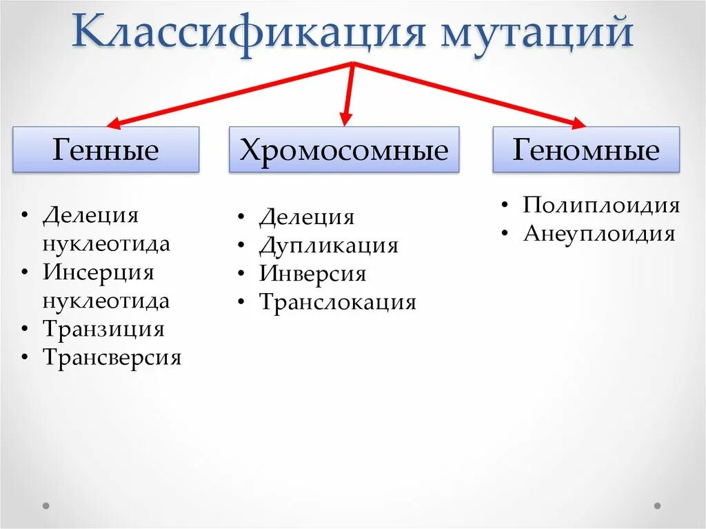 Мутации по генотипу. Классификация генных мутаций таблица. Составьте схему классификации мутаций.. Классификация хромосомных мутаций таблица. Составьте схему классификации генных мутаций.