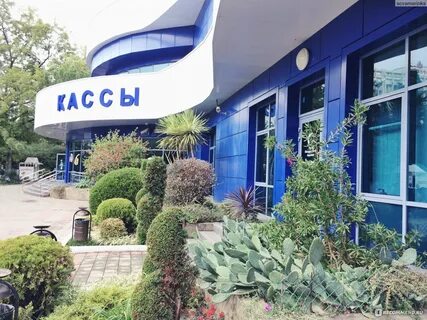 Sochi discovery world aquarium ул