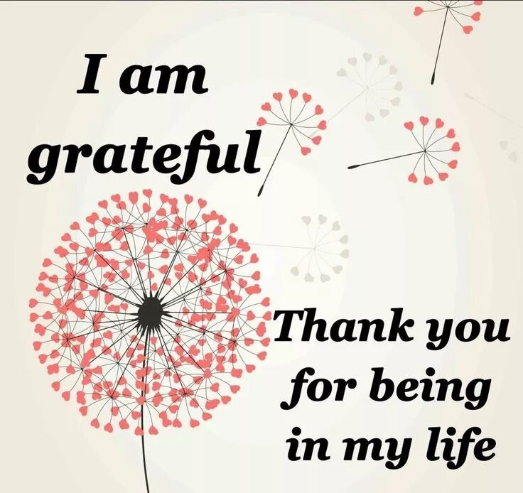 Thank you life. Thank you for being in my life. Mac miller обложка альбома. Thank you life. You are my life.