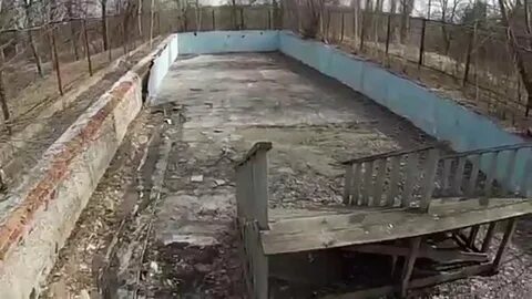 Березовая роща углянец