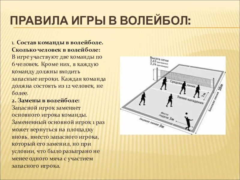 Сколько игроков в волейболе в протоколе игры