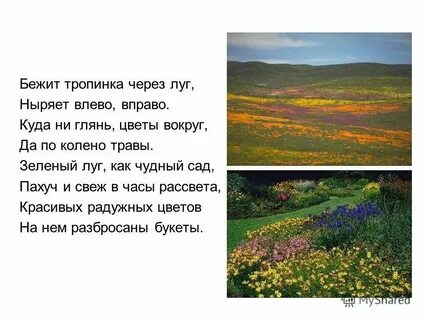 Широкая тропинка бежала к ручью осложнить