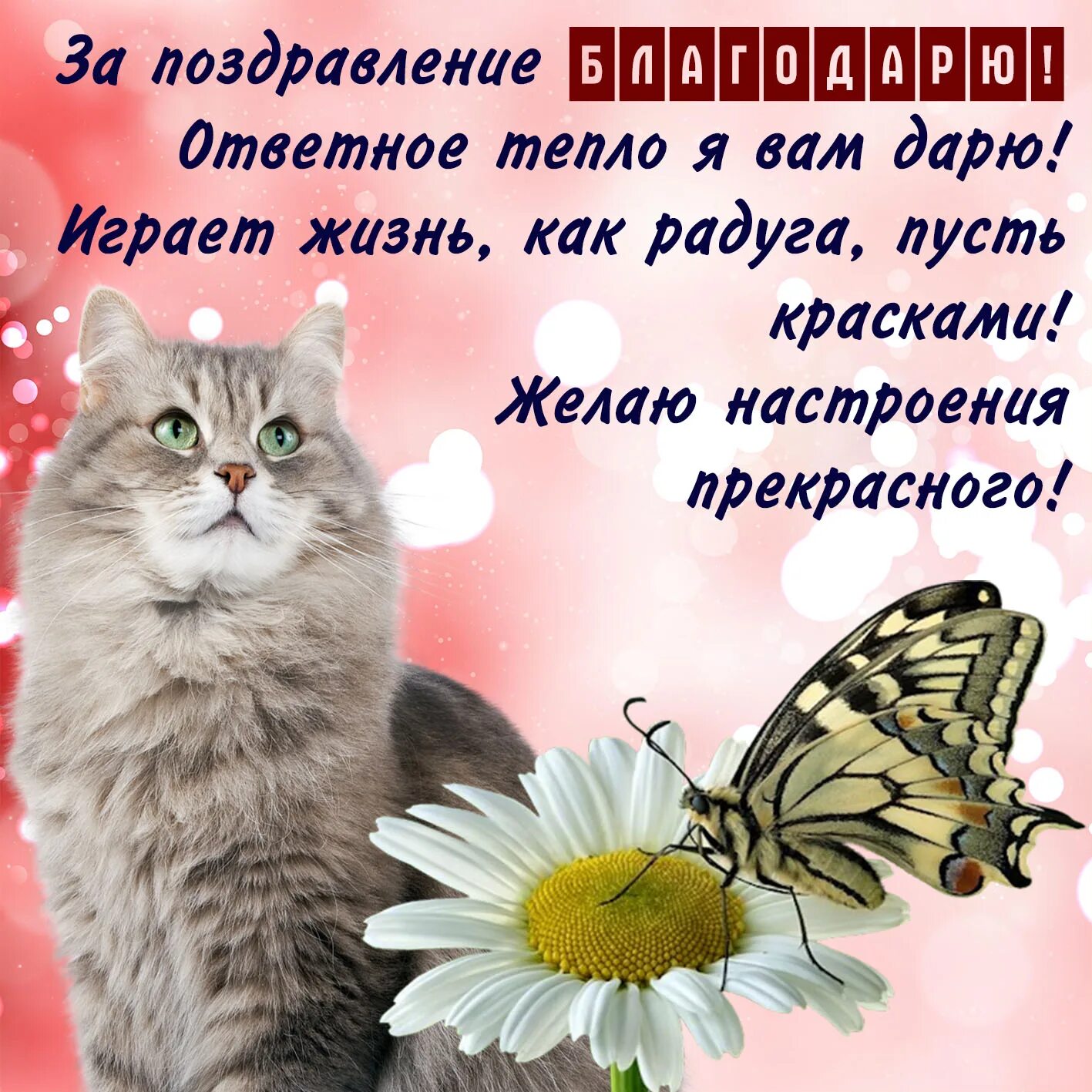 Как коротко поблагодарить за поздравления. Спасибо за поздравления. Спасибоза поздравленич. Спасибо большое за поздравления. Открытка спасибо за поздравления.