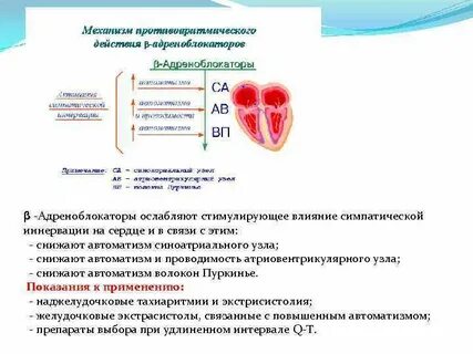 Повышенный автоматизм