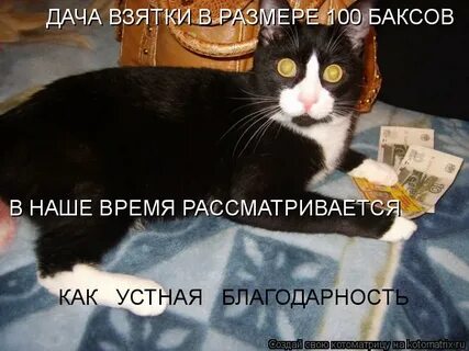 Думаю на неделе