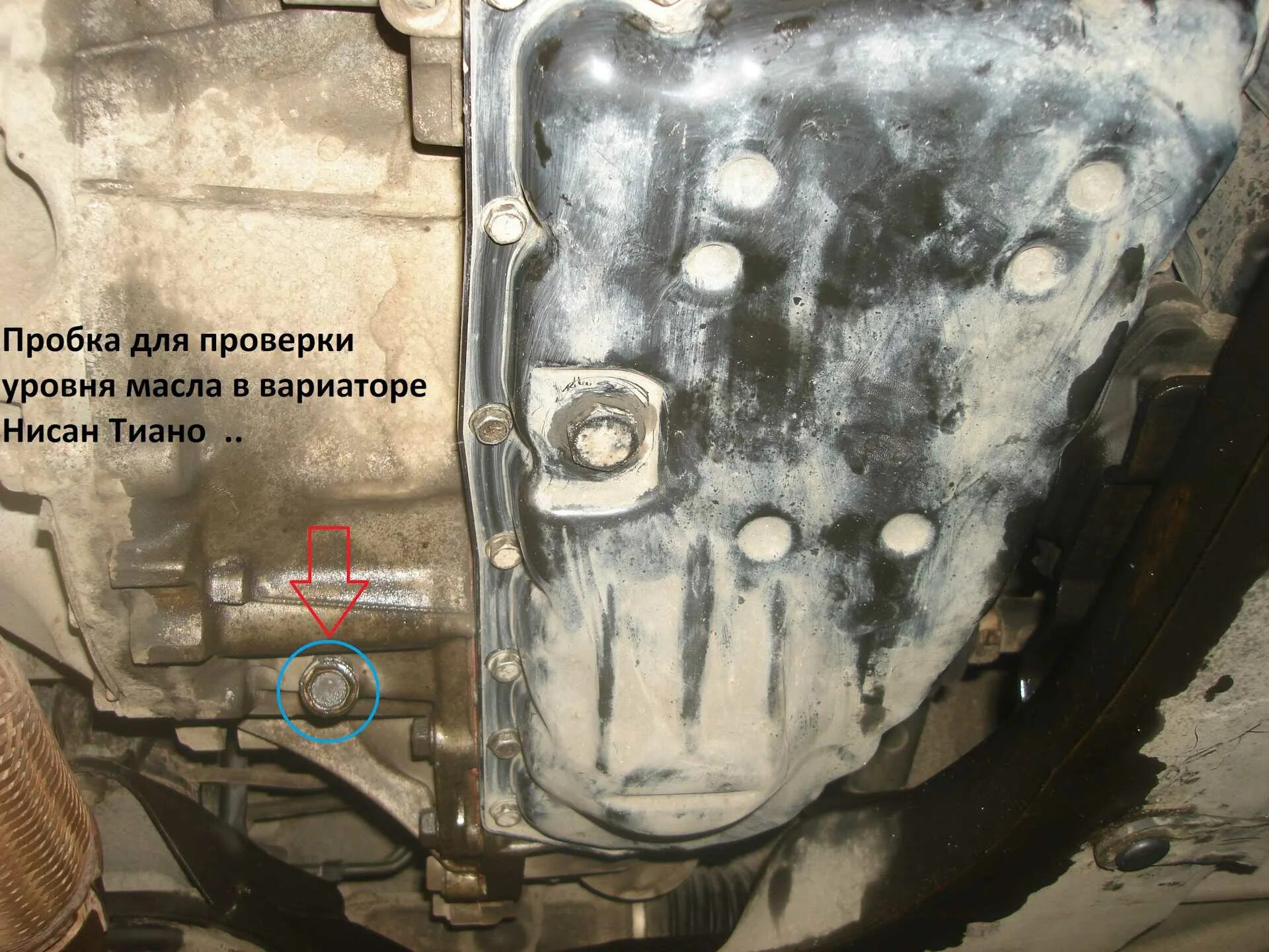 Уровень масла вариатора ниссан жук. Уровневая пробка вариатора nissan murano 52. nissan x trail 32 кузов контрольное отверстие коробка акпп. уровневая пробка масла вариатор икс трейл 2015. контрольная пробка уровня масла акпп мурано 2017 года.