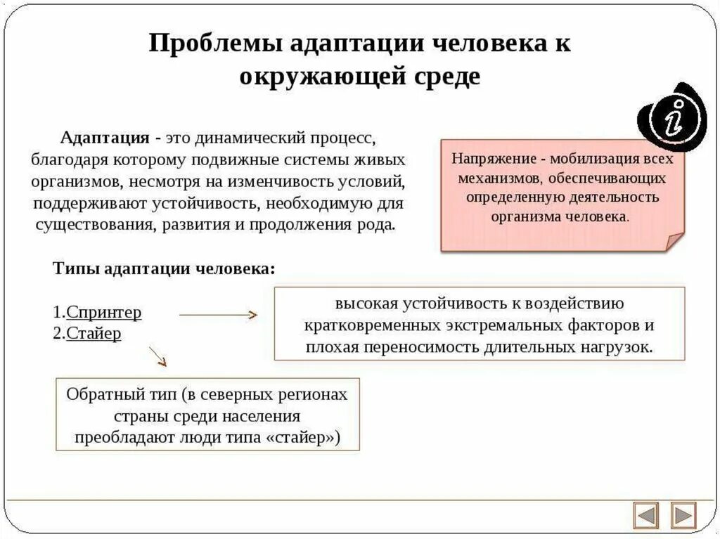 Проблема адаптации человека