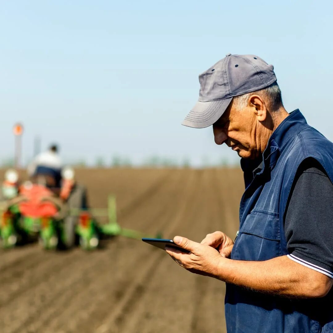 сельское хозяйство достижения