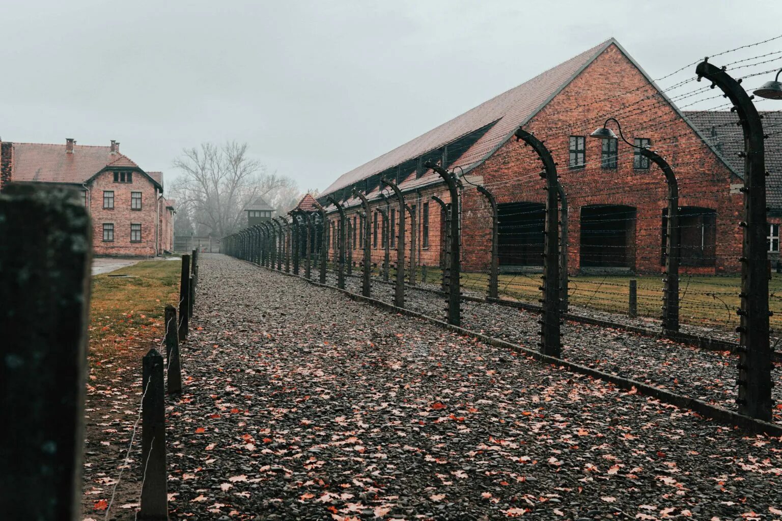 Освенцим сейчас. Аушвицосвенцим-биркенау (польша). концлагерь аушвиц-биркенау. музей аушвиц биркенау польша. лагерь аушвиц польша.