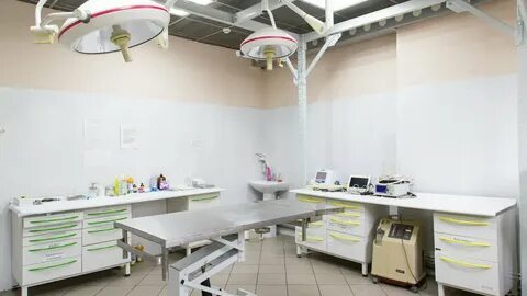 Ветклиника в южном бутово государственная