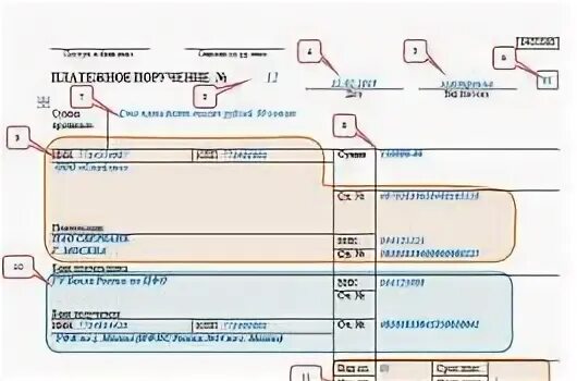 Поле 101 в 2024 году