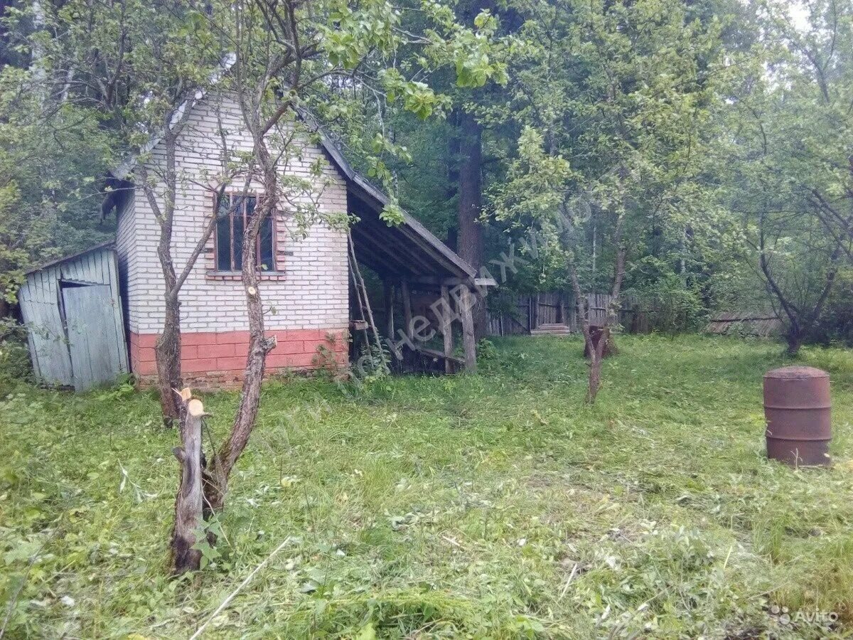 Фрязино богослово. Снт залесье щелковский район. снт богослово. залесье богослово. деревня богослово щелковский район.