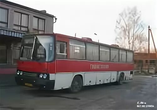 Икарус 250 0518 ВРН. Тула Суворов автобус. 256 Автобус Тула Суворов. A 020 250 59 01. Купить билет тула суворов