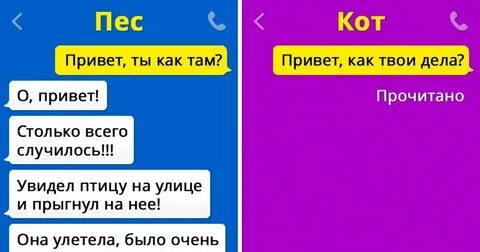 Смс не пиши не звони