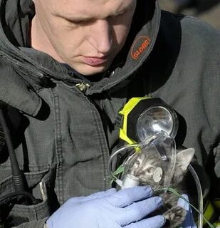 Главное жизни спасти жизни