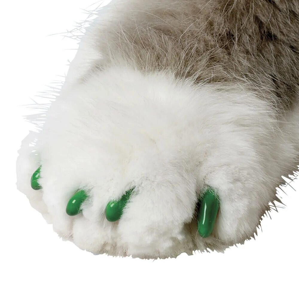 Cat Claws. Cats Claw Now. Cat s claw