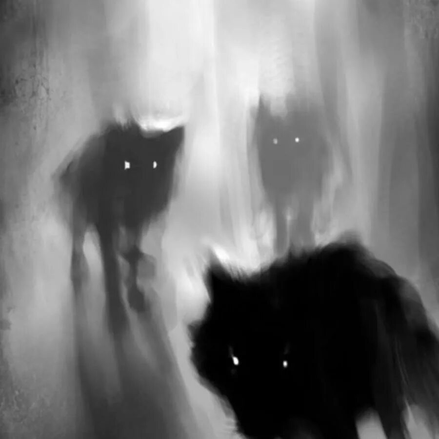 Волк светятся глаза. Глаза волка в темноте. Волчьи глаза в темноте. Волк со светящимися глазами в темноте. Глаза Волков ночью.