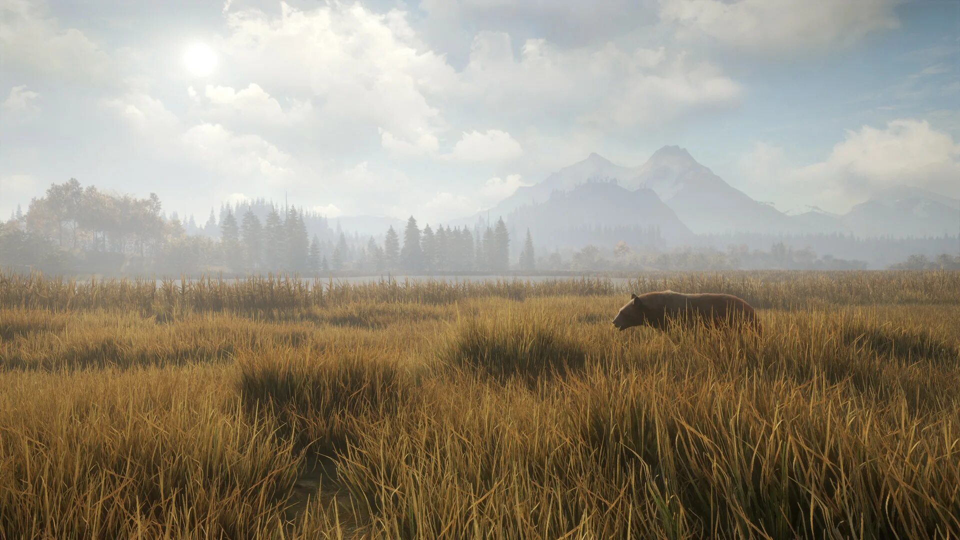 The hunter call of the wild мод. Игра the hunter call of the wild. hunt call of the wild. thehunter: call of the wild 4k. thehunter call of the wild° саванна вурхонга.