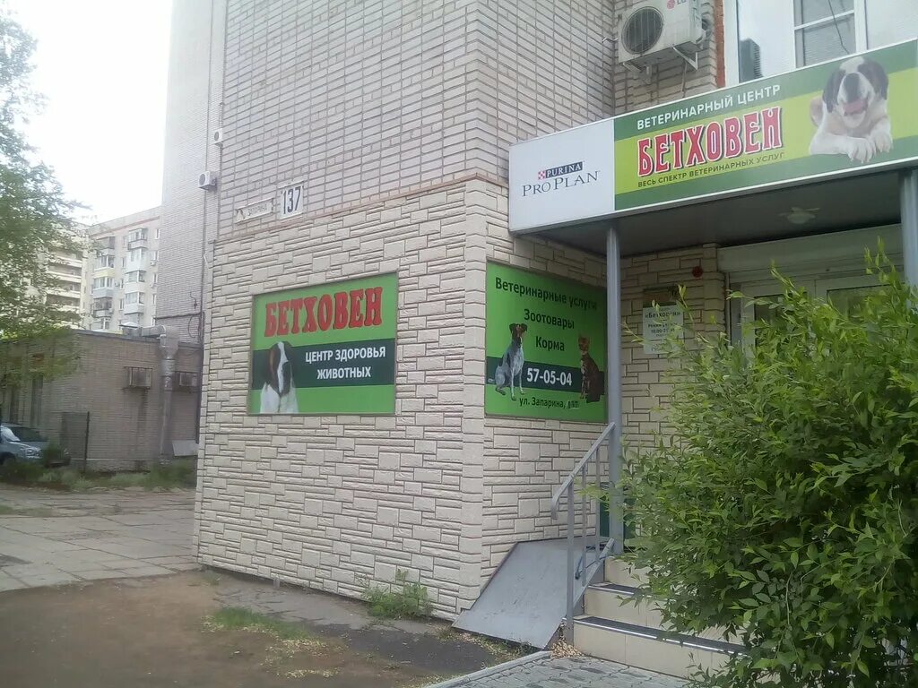 хабаровская городская станция по борьбе с болезнями животных. бонифаций зоомагазин в кудымкаре. телефон ветеринарной клиники хабаровска. ветеринарная клиника южный хабаровск. юнивет ветклиника хабаровск кирова.