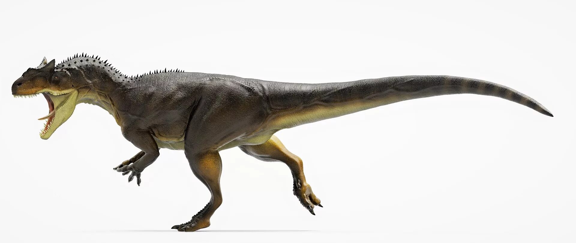 Заурофаганакс. Аллозавр Максимус. Заурофаганакс и Аллозавр. Заурофаганакс Планета динозавров. Аллозавр динозавр.