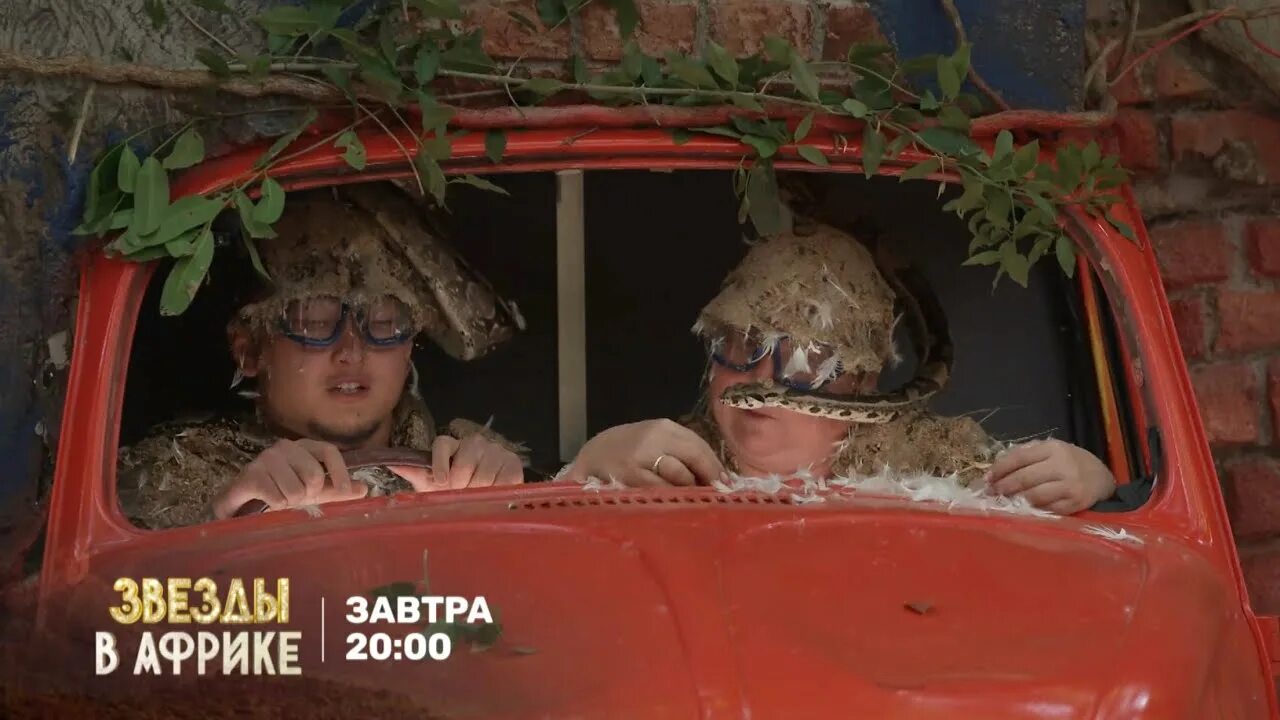 Звезды в африке 2 даты. Галустян звезды в африке. михаил галустян звезды в африке. звезды в африке 3. звезды в африке тнт.