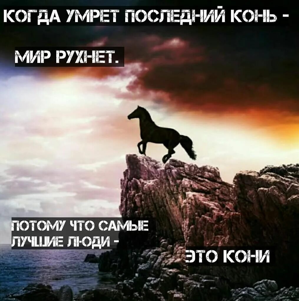 На кону выражение