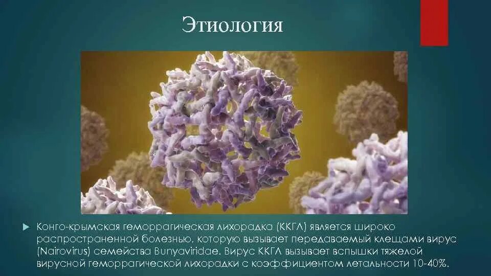Памятка для населения. Крымская геморрагическая лихорадка инкубационный период. Возбудитель крымской геморрагической лихорадки. Крымская геморрагическая лихорадка симптомы. Геморрагическая лихорадка возбудитель инфекции.