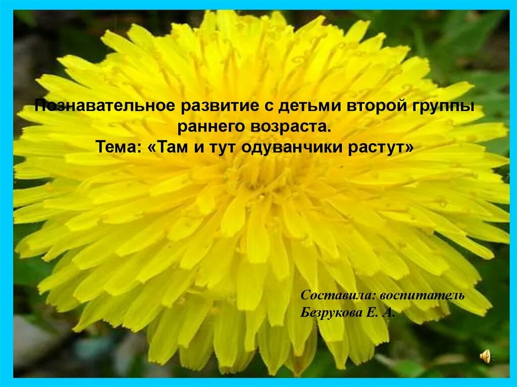 Одуванчик цитаты. Стих про желтый цвет для детей. одуванчик там и тут растут. одуванчик желтый сарафанчик стишок. там и тут , там и тут одуванчики цветут.