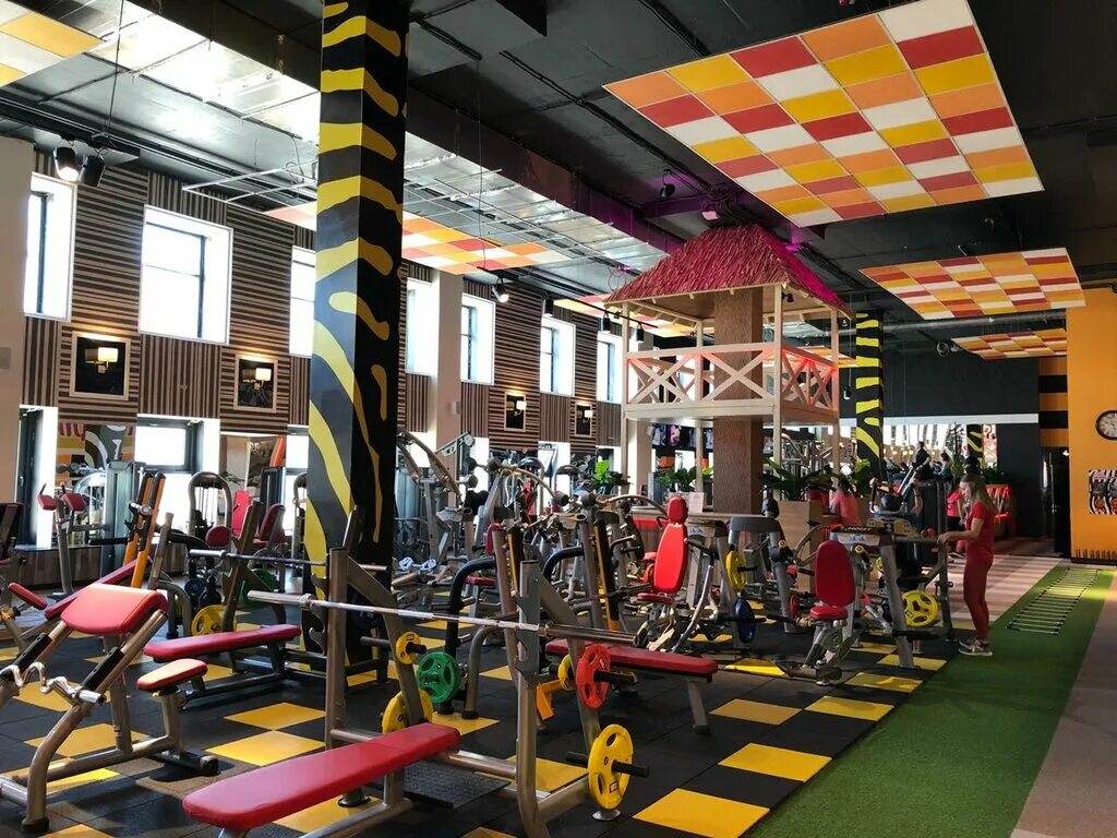 фитнес клуб зебра мытищи. термо летная 19. термы мытищи летная 19. термо летная 19. термы мытищи бассейн на улице.