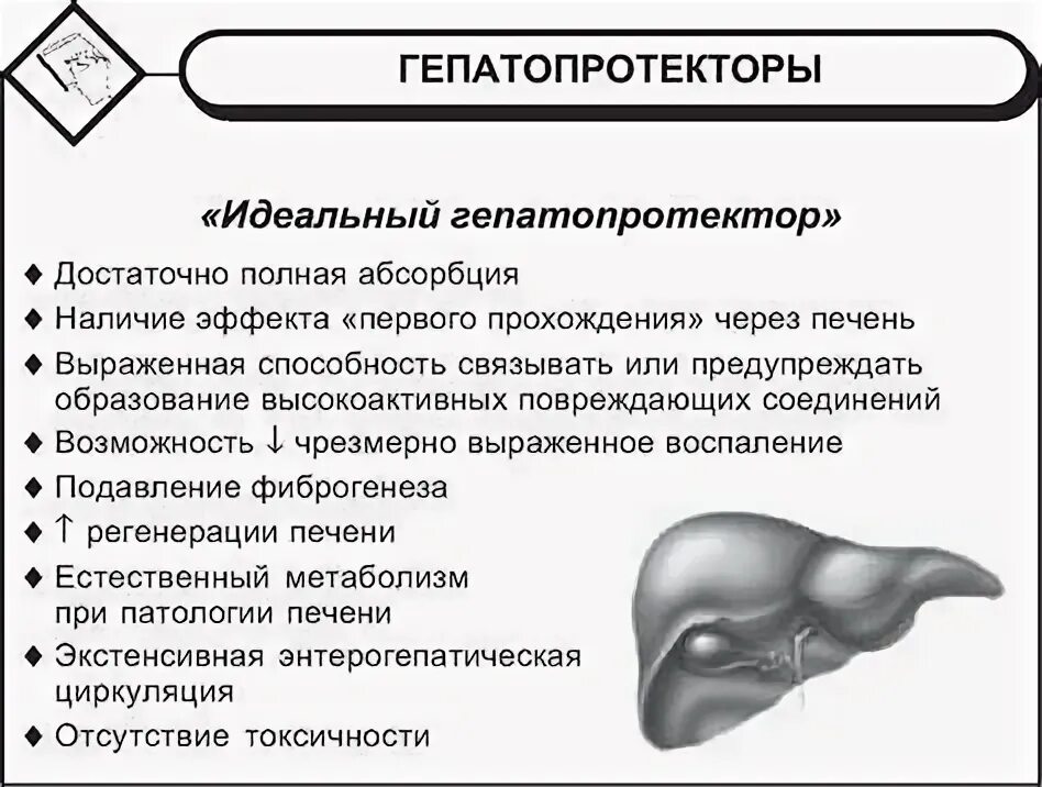 Гепатопротекторы классификация. Гепатопротекторы препараты растительного происхождения. Гепатопротекторное действие что это. Гепатопротекторное действие что это. Классификация препаратов для печени.