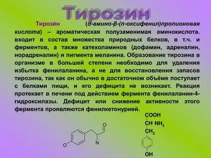 Тирозин биологическая роль