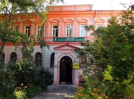 Сайт лесотехнического техникума