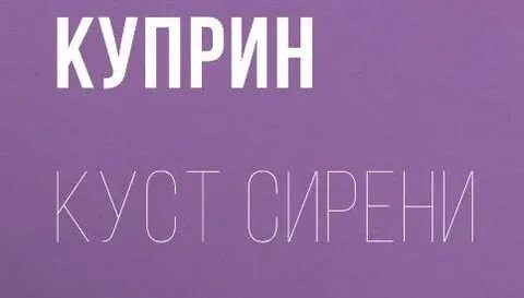 Читательский дневник куприн куст сирени краткое