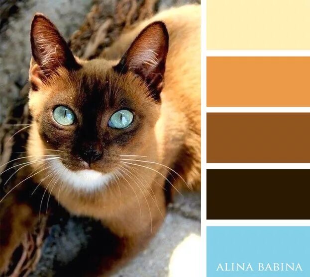 110 Colors That Inspire ideas in 2021 aesthetic wallpapers, desert color palette