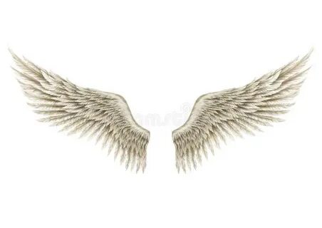 Drew wings