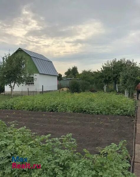 Дачи в чистых прудах тамбов. Дача чистые пруды тамбов. Снт чистые пруды. Дача чистые пруды тамбов. Дача 60 м феникс 300000 2 этажа.