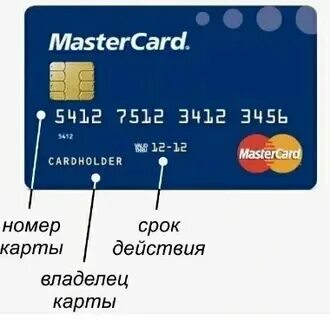 Как выглядит срок действия карты Виртуальное гражданство. Каким будет российский электронный паспорт