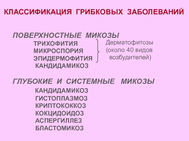 Классификация кожных. Глубокие и поверхностные микозы микозы. классификация грибковых заболеваний. классификация грибковых поражений. классификация микозов.