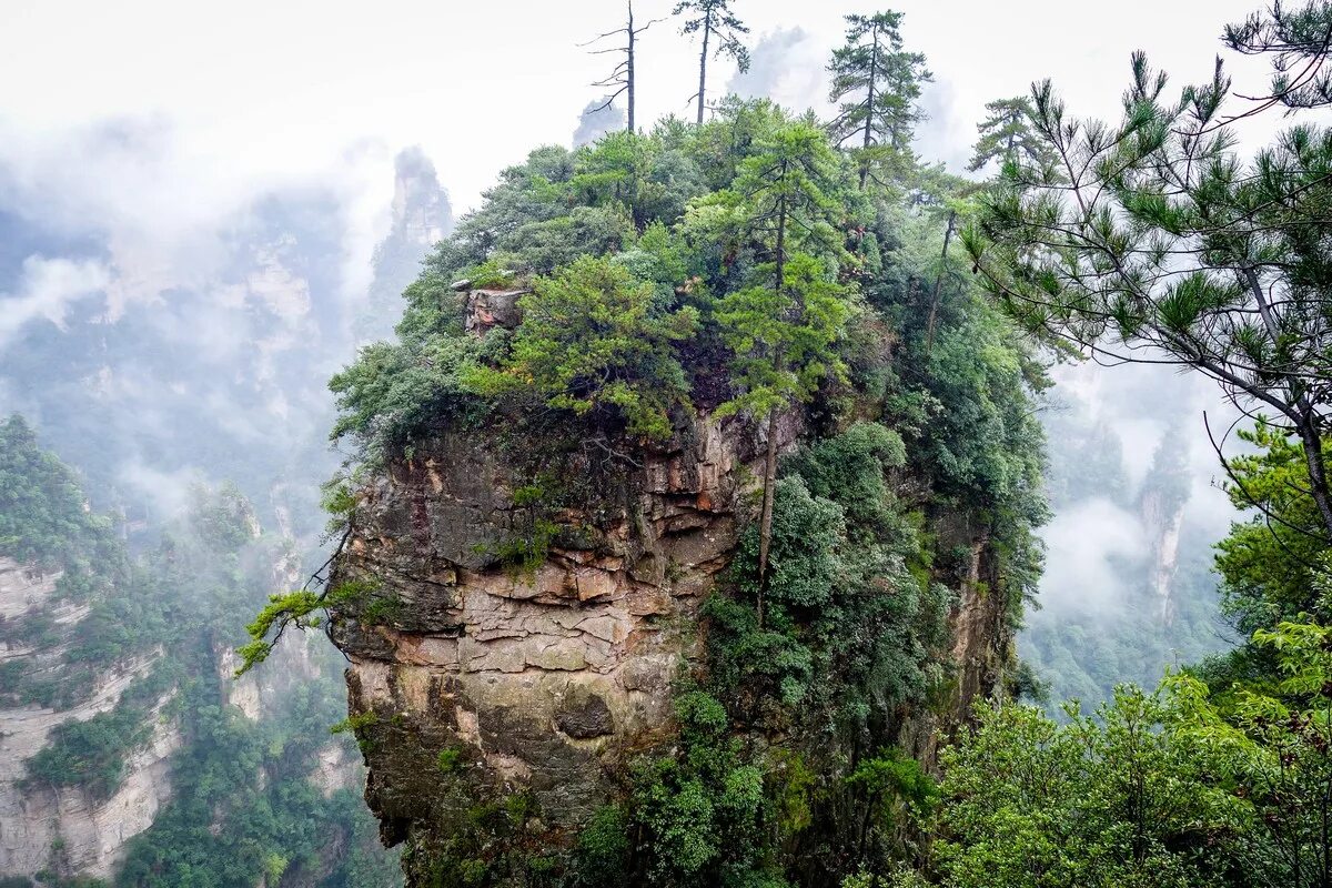 гора тяньцзы, китай. национальный парк чжанцзяцзе (провинция хунань). горы улинъюань китай. парк чжанцзяцзе. скалы аватара.