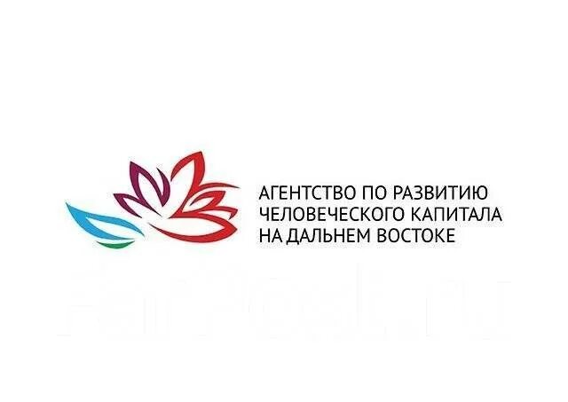 Агентство по развитию человеческого капитала на дальнем востоке. Человеческий капитал дальнего востока. Ау со агентство по развитию человеческого капитала. Человеческий капитал дальнего востока. Логотип арчк со.